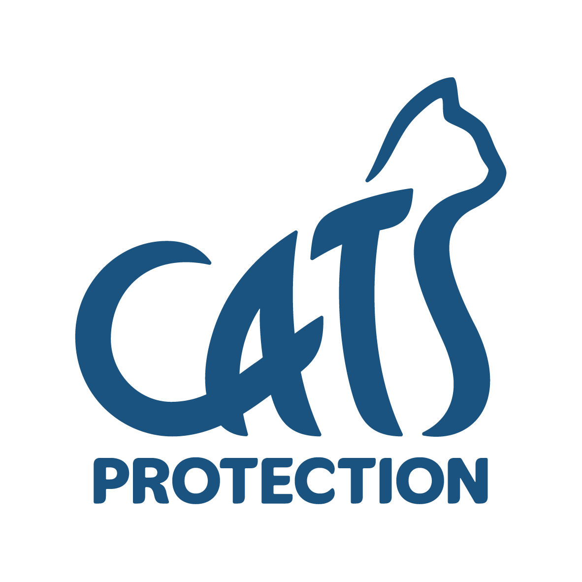 Cats Protection-1