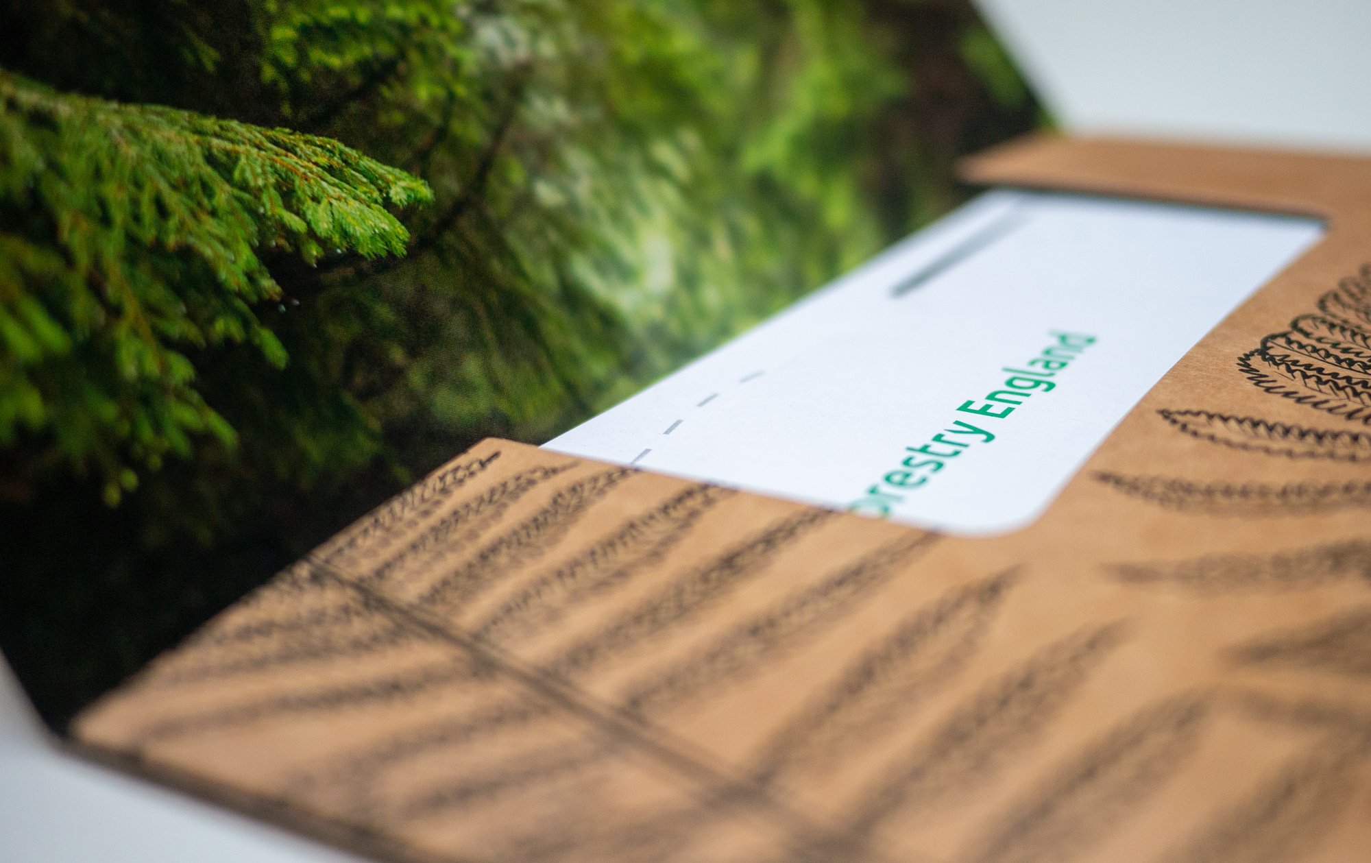 Forestry-commision-stack-unroll-21 Forestry-commision-stack-unroll-21