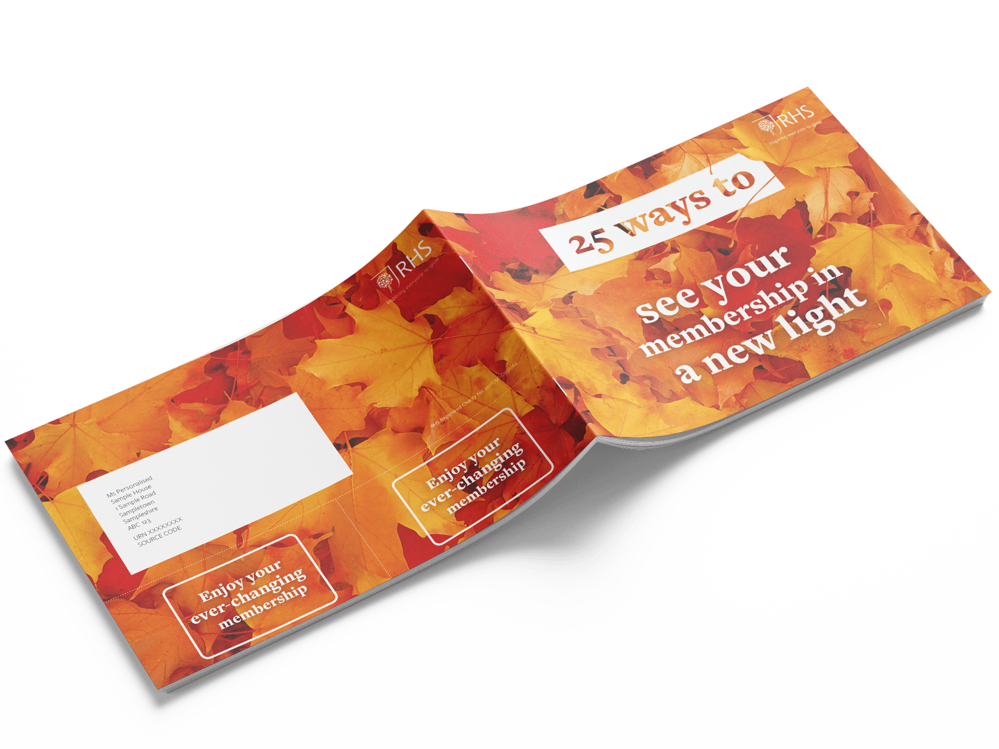 Free_Landscape_Brochure_Mockup_07