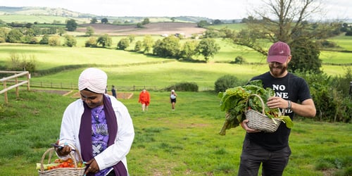 People harvesting vegetables.