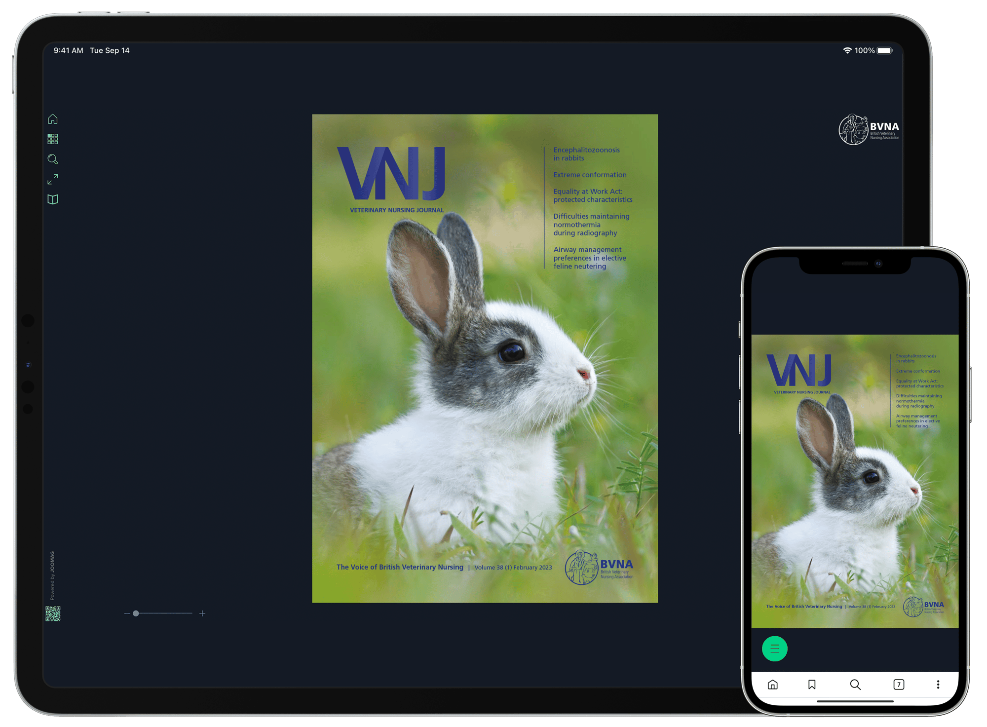 VNJ Screen mock up 1